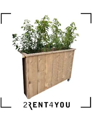 Plantenbak Steigerhout met planten